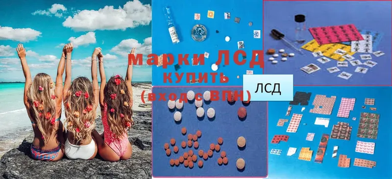 Лсд 25 экстази ecstasy  Ноябрьск 